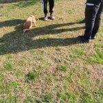 03032026gadth (1)
