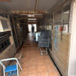 31032026 photo 2