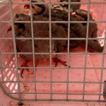 31032026 photo 4