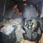 08042026 photo 6