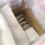 01052026ydn (1)