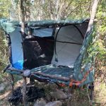 6.6.2026 arkadia-entopismos fyteias dendrilliwvn kannavhs (2)