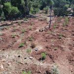 4.7.2026-arkadia-fyteia-sillipseis (3)