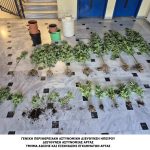 ΝΑΡΚΩΤΙΚΑ ΑΡΤΑ