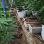 ΤΔΝ ΧΑΝΙΩΝ (6)
